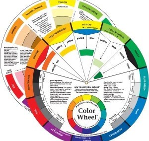 The Colour Company Colour Wheel 9 1/4"