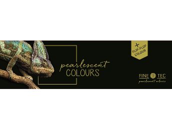 Fine Tec Watercolour Pans - 6 Pearlescent Flip #602
