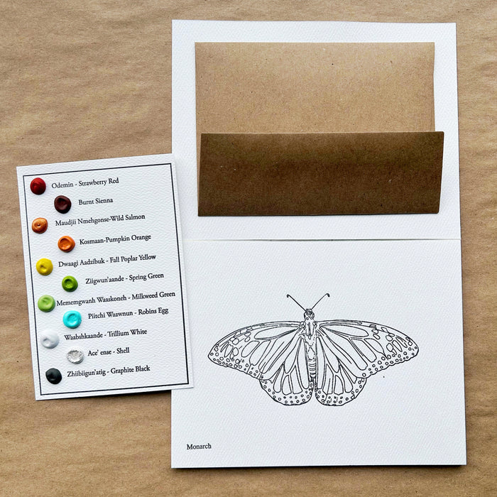 BEAM - Postcards and Palettes - Butterflies and Moths