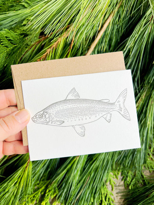 BEAM - Printables and Palettes - Lake Whitefish