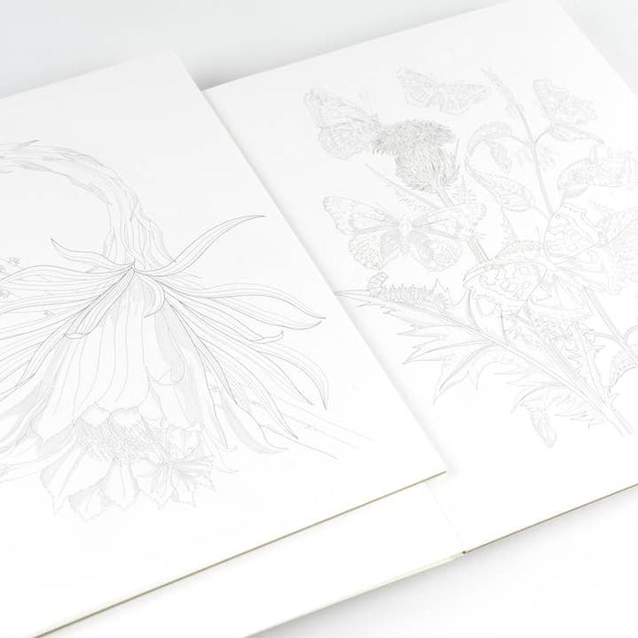 Pepin Press - Natural History Artist's Colouring Book