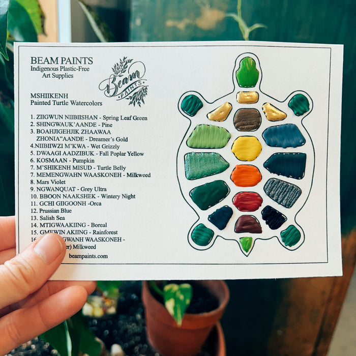 BEAM - Travel Card - Painted Turtle