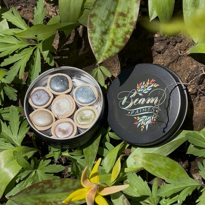 BEAM - Paintstone Palette - Earth Shimmers