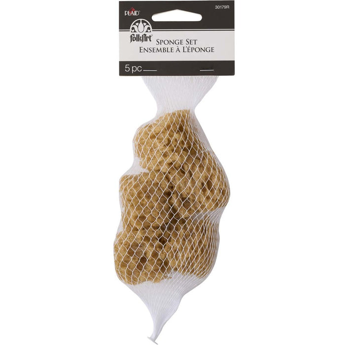 Plaid FolkArt Sponge Value Pack (5pc)