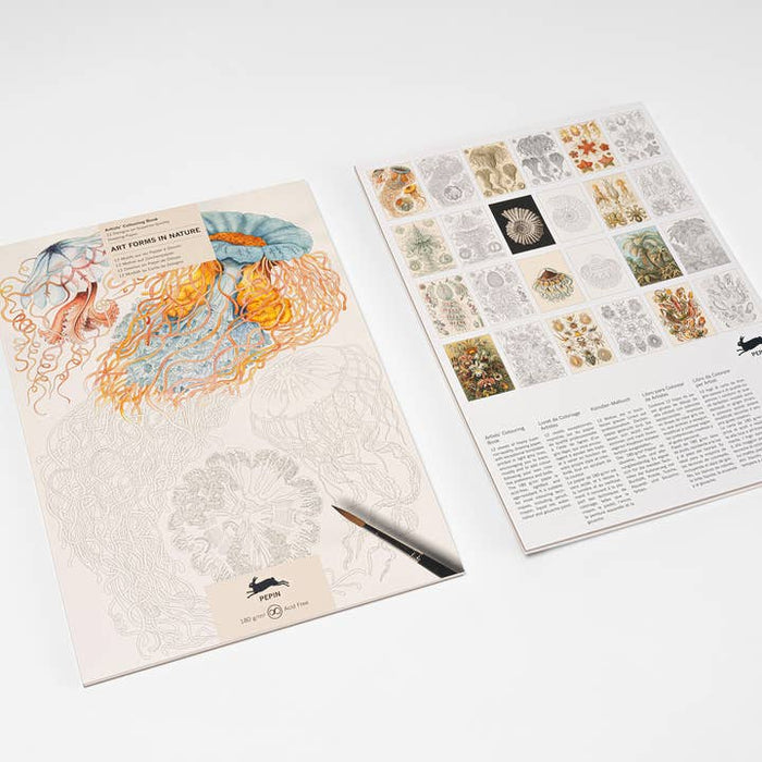 Pepin Press - Art Forms in Nature Artist's Colouring Book