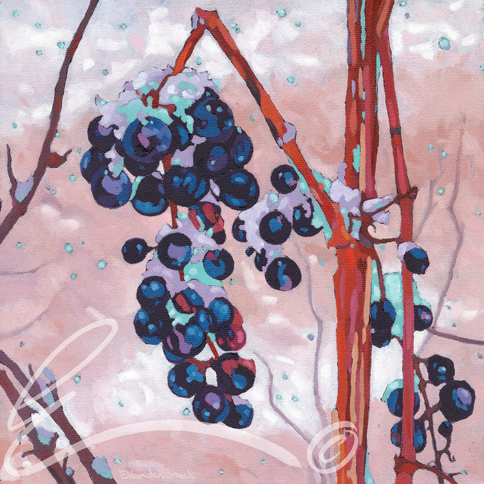 Frost Grapes