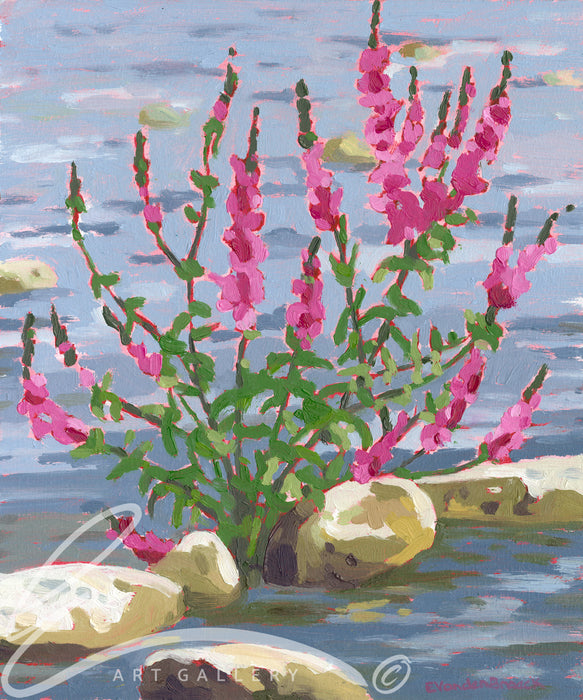 River Bloom - Print